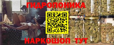 круглые Славянск-на-Кубани